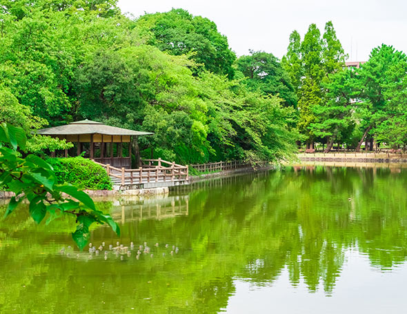 亀城公園